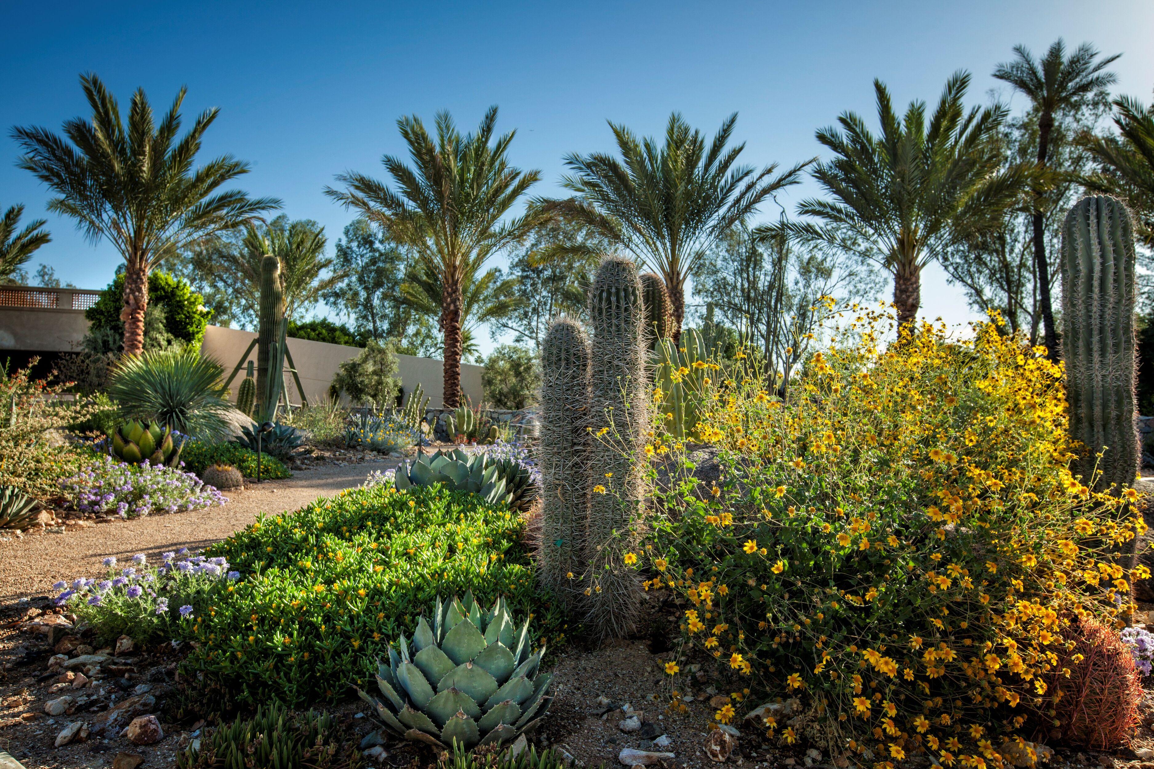 The Scottsdale Resort & Spa, Curio Collection By Hilton Exterior foto